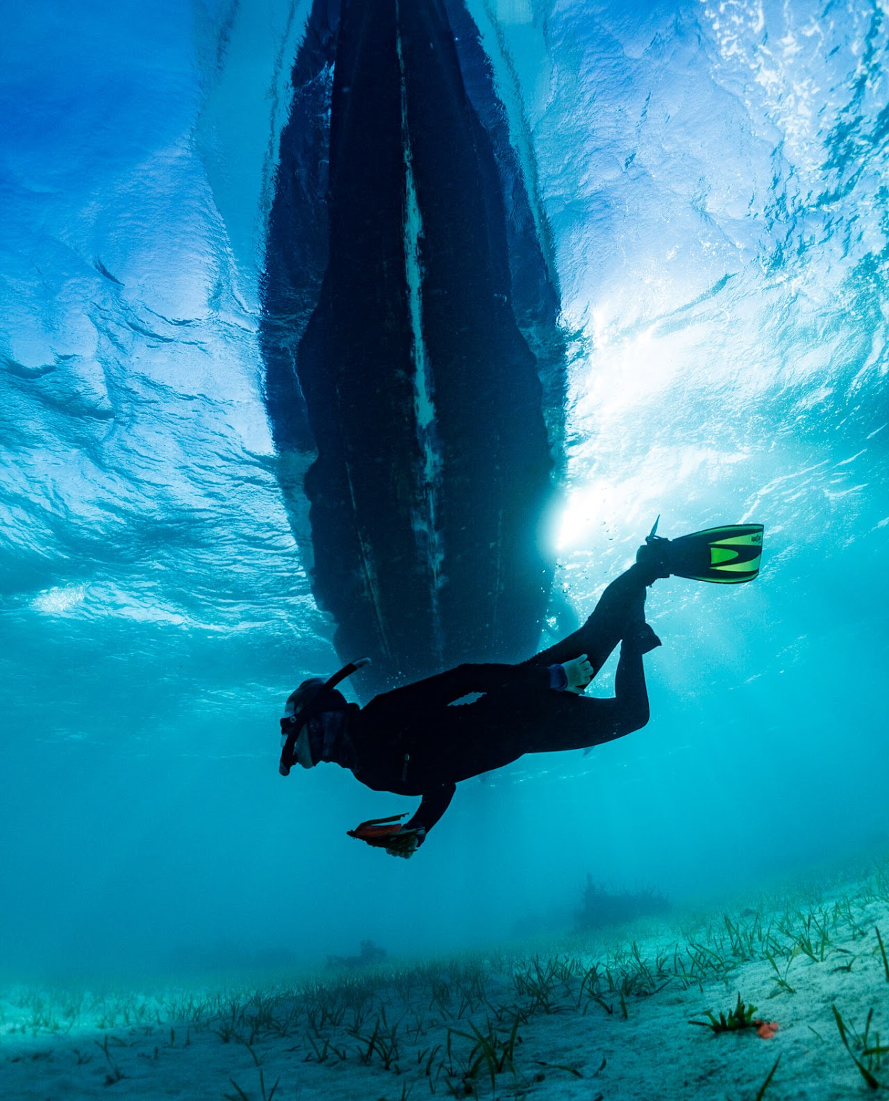 A snorkeler with a black wetsuit and green fins carries a handful of seagrass as she swims under a boat.