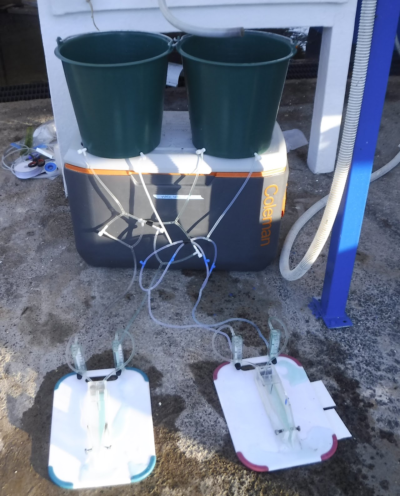 Two flumes for behavioral assays sit on the ground under two green header buckets. Green dye shows the laminar flow in the flumes, and tubes connect the flumes and buckets. 